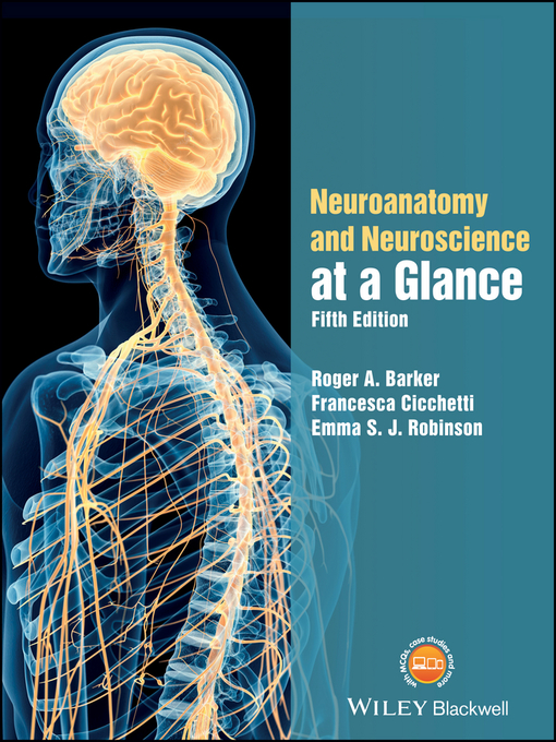 Cover image for Neuroanatomy and Neuroscience at a Glance